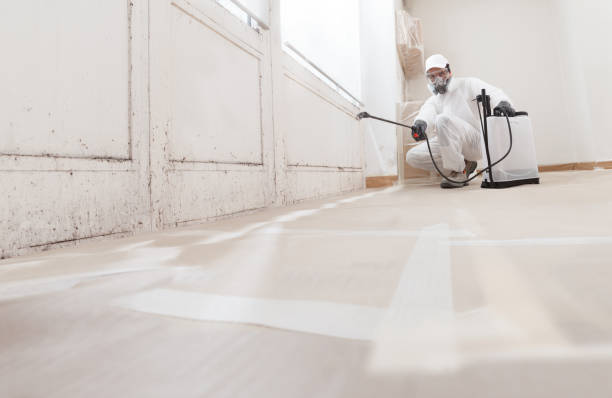 24/7 Emergency Bathroom Mold Removal experts in Madison, FL